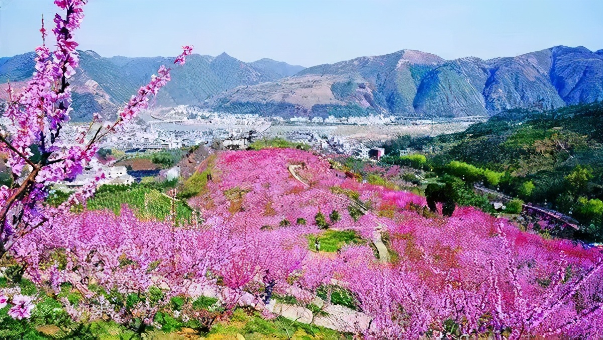 又到赏花季，陕西最美赏花景点全在这了！带着这份攻略赶快出发吧缩略图