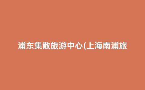 浦东集散旅游中心(上海南浦旅游集散中心官网)缩略图
